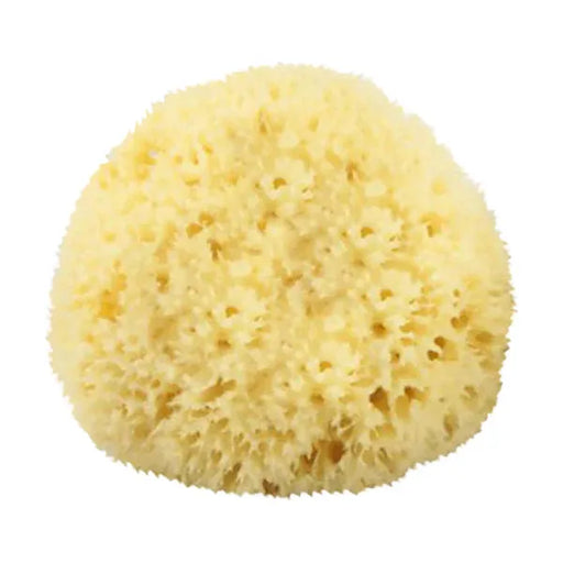 The Sponge Company Natural Bathing Sea Sponge #3 Large [202-03]