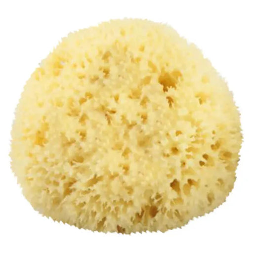 The Sponge Company Natural Bathing Sea Sponge #4 X-Large [202-04]