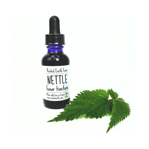 Rooted Earth Farm + Apothecary - Nettle Tincture 1oz - 2oz
