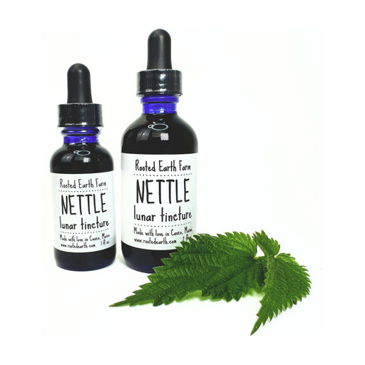 Rooted Earth Farm + Apothecary - Nettle Tincture 1oz - 2oz