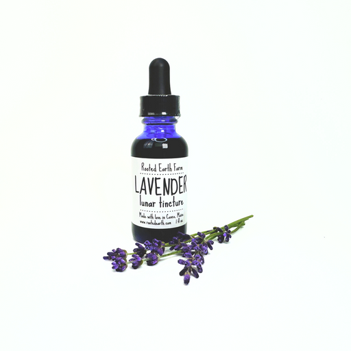 Rooted Earth Farm + Apothecary - Lavender Tincture 1oz - 2oz