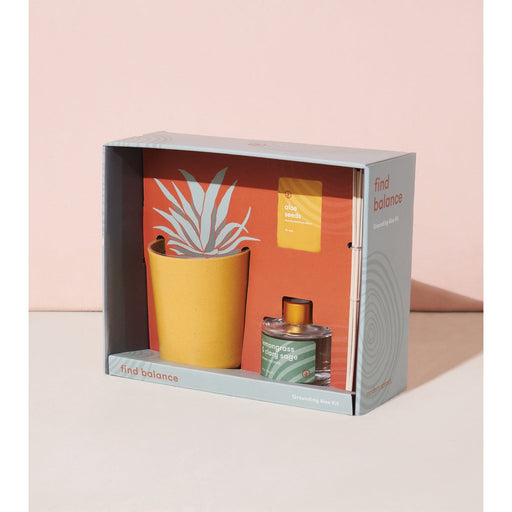 Modern Sprout - Find Balance - Grounding Aloe Kit