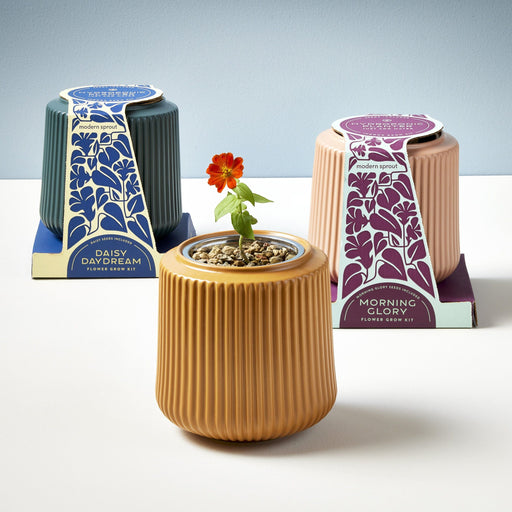Modern Sprout - Flower Grow Kits