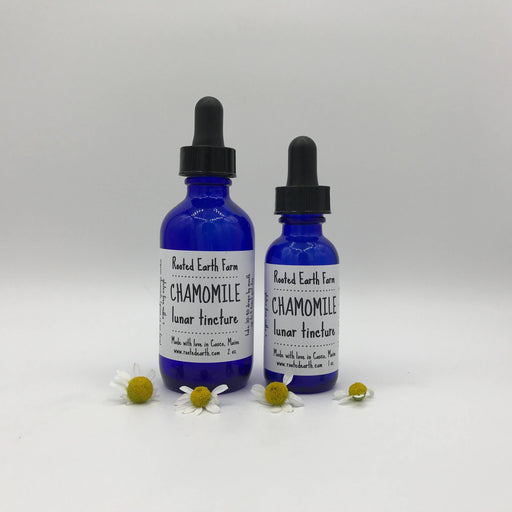 Rooted Earth Farm + Apothecary - Chamomile Tincture