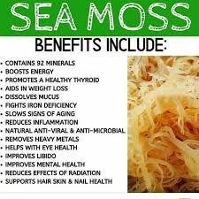 MG Windward Trading LLC - Organic Aloe & Flaxseed Sea Moss Mask