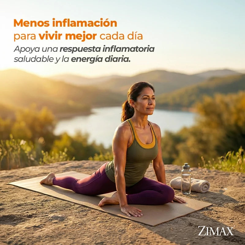 Paleolife Zimax® Sobres ZIMAX ANTIOXIDANTE EN SOBRES Seashell 1 Pack,3 Pack,6 Pack