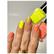 UberChic Beauty Seashells & Sunshine Stamping Plate