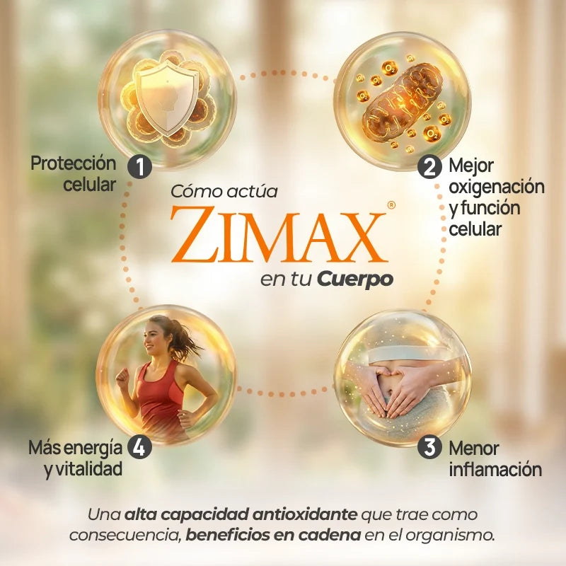 Paleolife Zimax® Sobres ZIMAX ANTIOXIDANTE EN SOBRES Seashell 1 Pack,3 Pack,6 Pack