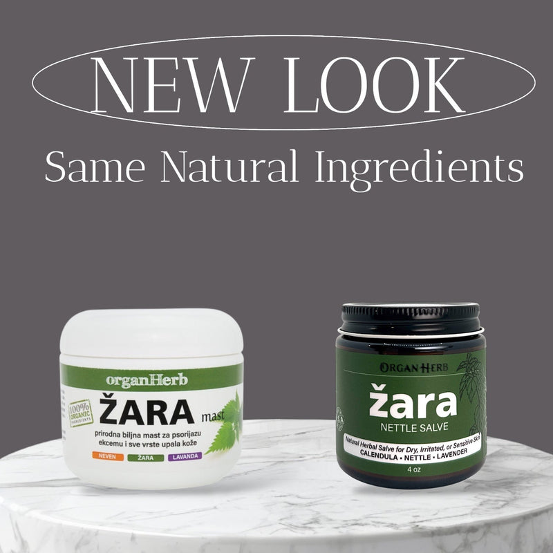 OrganHerb OrganHerb Organic Nettle Salve (Žara-Kopriva) 4 oz – Nourishing Botanical Care for Dry and Irritated Skin Organic Salves