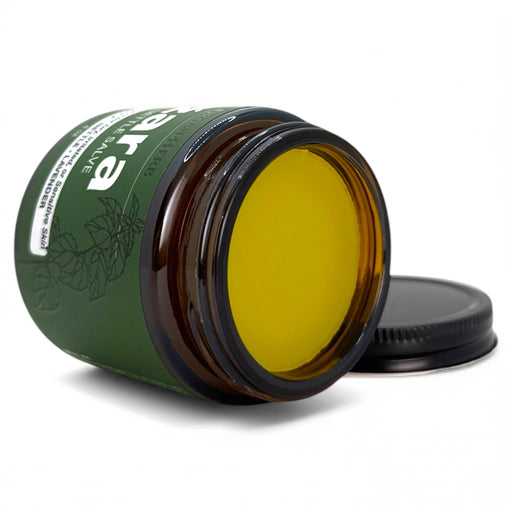 OrganHerb OrganHerb Organic Nettle Salve (Žara-Kopriva) 4 oz – Nourishing Botanical Care for Dry and Irritated Skin Organic Salves