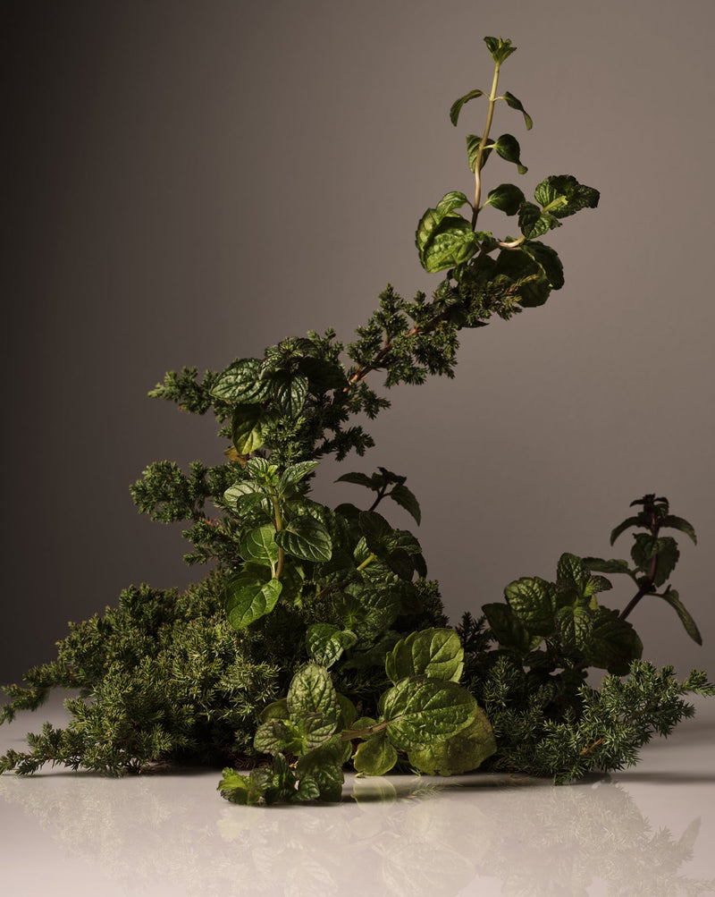 Homecourt Surface Cleaner Surface Cleaner Dim Gray Cece,Mandarin Basile,Neroli Leaf,Steeped Rose,Cipres Mint