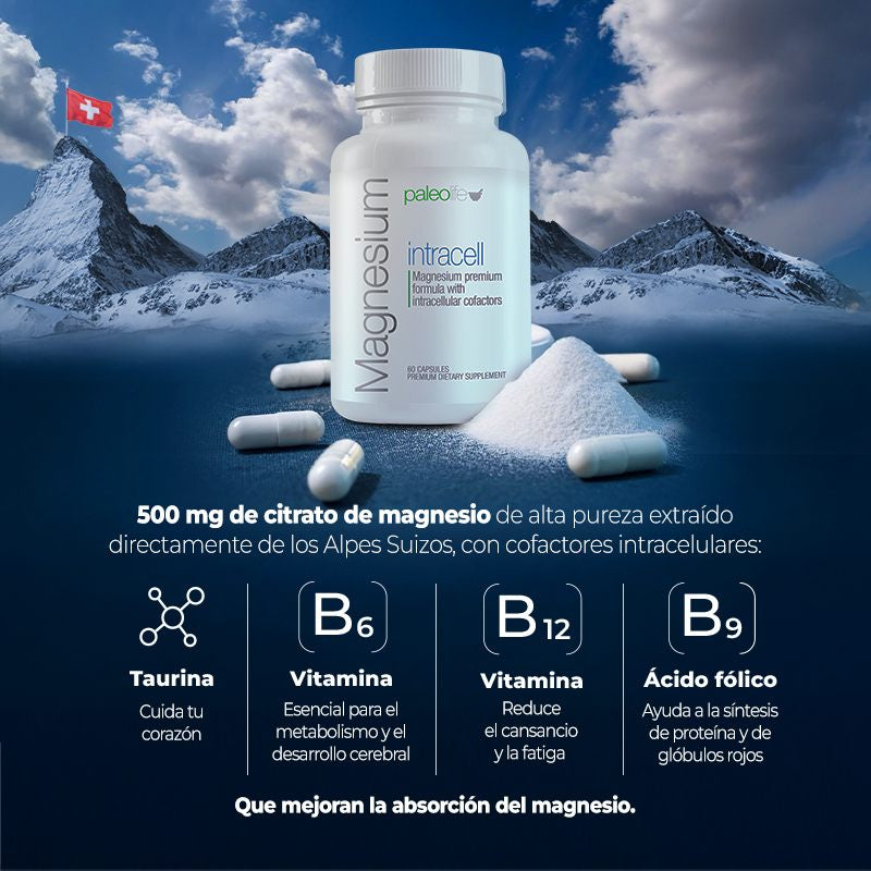 Paleolife Magnesium Intracell MAGNESIUM INTRACELL Black 1 Pack,3 Pack,6 Pack