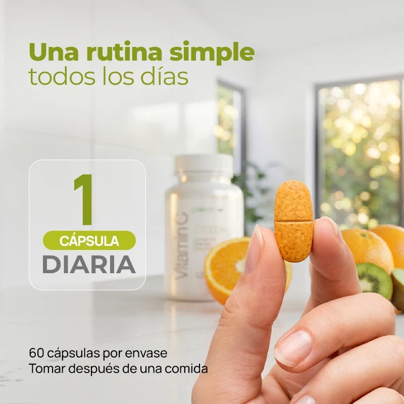 Paleolife Vitamin C 1000 Light Gray 1 Pack,3 Pack,6 Pack