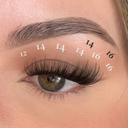 Pink Purée First Class DIY Lashes