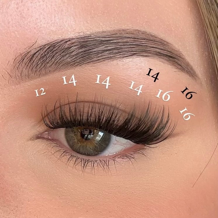 Pink Purée First Class DIY Lashes