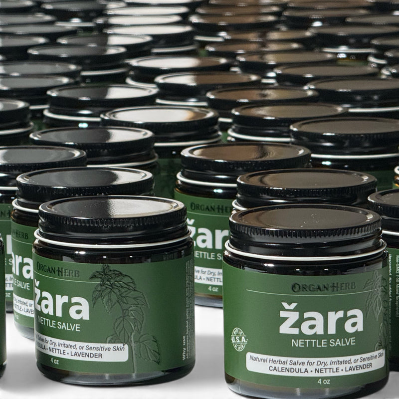 OrganHerb OrganHerb Organic Nettle Salve (Žara-Kopriva) 4 oz – Nourishing Botanical Care for Dry and Irritated Skin Organic Salves