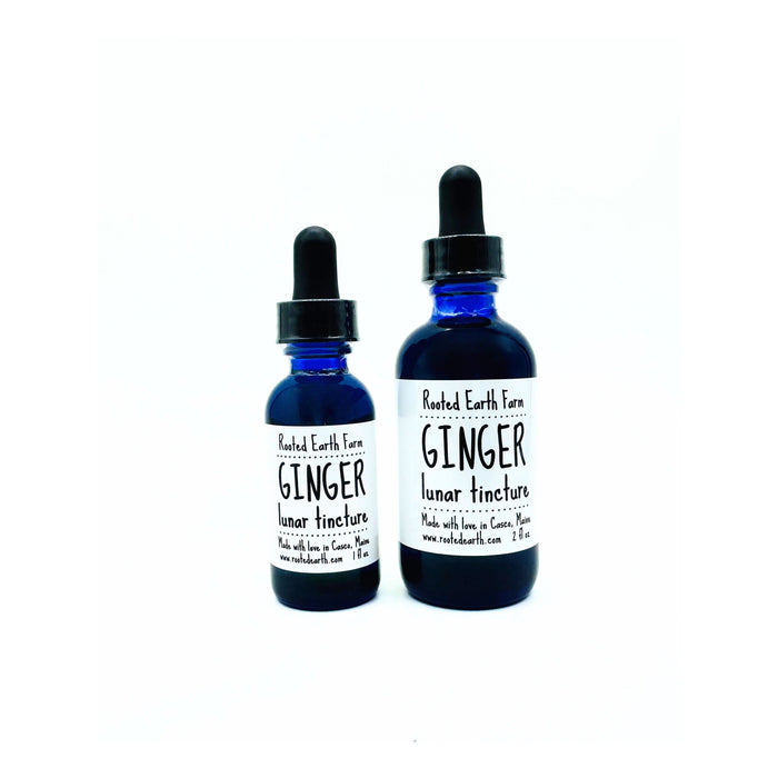 Ginger Tincture