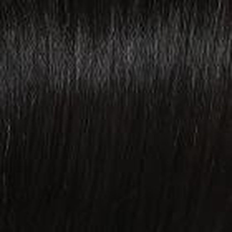 VIP Extensions 100% Human Hair Bang -  Top Piece - by Raquel Welch Hair Topper