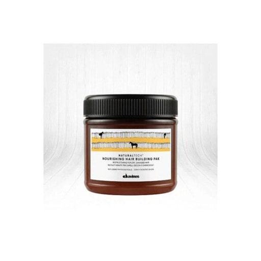 Davines Davines Nourishing Building Hbp Yıpranmış Kuru Saç Maskesi 250 Ml Dv07171308 Building Toys