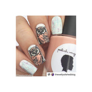 UberChic Beauty Who Gives a Hoot Stamping Plate
