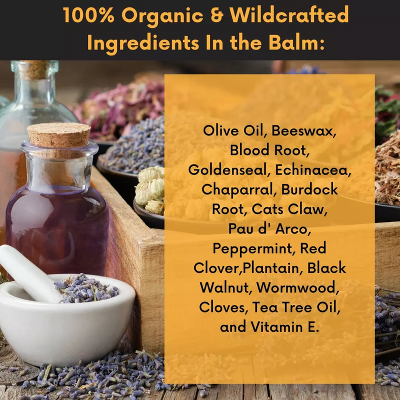 COLEHERBALS 26 - Dr. Cole’s Organic Cough Cold Congestion Relief Balm Herbal