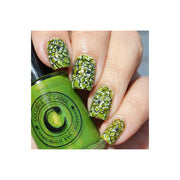 UberChic Beauty Succulents Stamping Plate