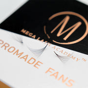 Mega Lash Academy 10D Mix Promade Loose Fans - 1000 Fans Promade Fans