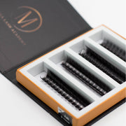 Mega Lash Academy 10D Rapid Promade Fans® - 1000 Fans Promade Fans