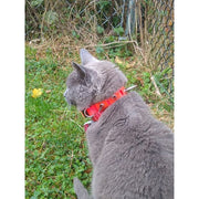 CoyoteVest CoyoteCollar Collar