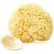 Lizzie's All-natural Products Natural Dead Sea Sponge Health & Beauty