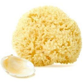 Lizzie'S All-Natural Products - Natural Dead Sea Sponge