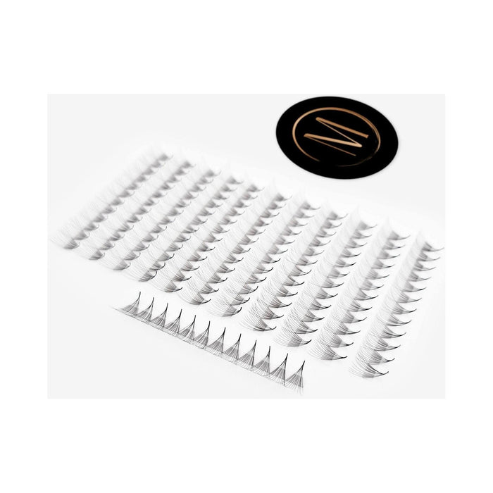 Mega Lash Academy - 12D Mix Rapid Promade Fans® - 1000 Fans 0.05oz.