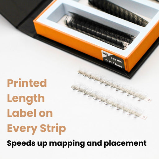 Mega Lash Academy 12D Rapid Promade Fans® - 500 Fans Promade Fans