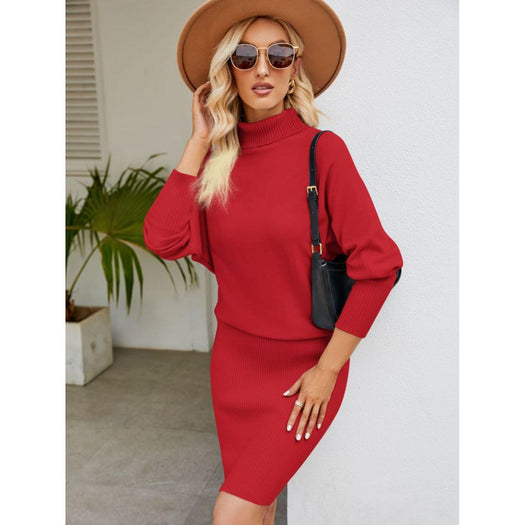 Turtle Neck Long Sleeve Ribbed Sweater Dress