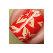 UberChic Beauty Collection 16 Stamping Plate