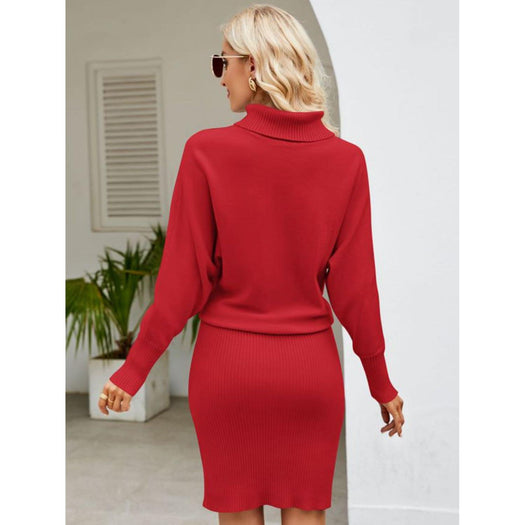 Turtle Neck Long Sleeve Ribbed Sweater Dress