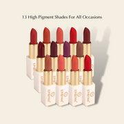 EpiLynx Vegan Matte Lipstick – Hydrating, Long-Wear, Magnetic Case lipstick