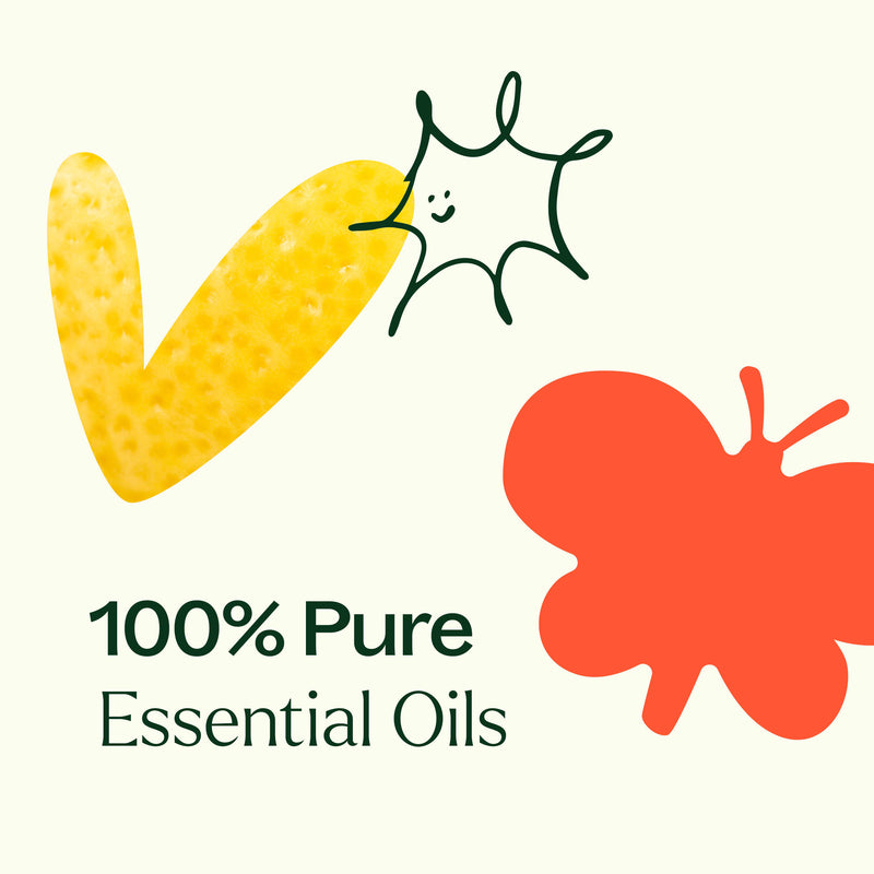 Plant Therapy 15 & 15 Essential Oil Set with Carrying Case Essential Oil