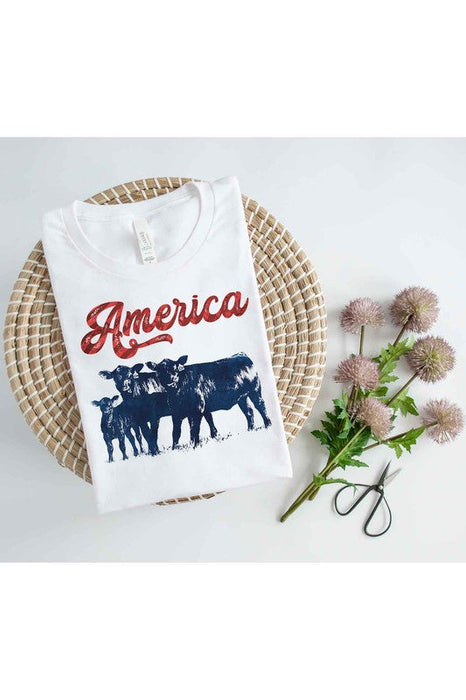 AMERICAN CATTLE T-SHIRT PLUS SIZE