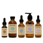 Paavani Ayurveda Dinacharya Ritual Kit | Ayurvedic Daily Self-Care for Balance & Vitality variable
