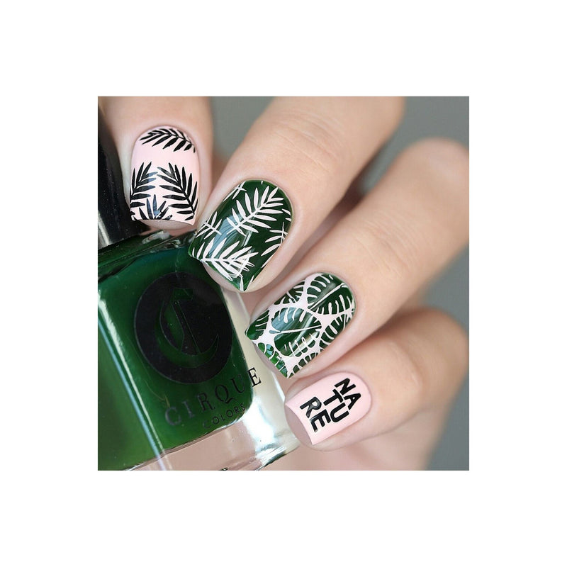 UberChic Beauty Lovely Leaves-02 Stamping Plate