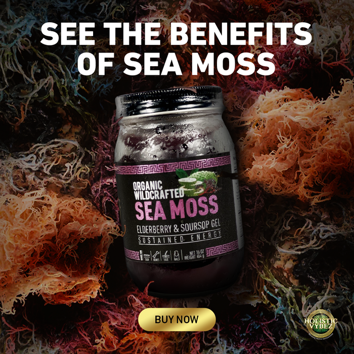 Holistic Vybez - Elderberry And Soursop Infused Sea Moss Gel