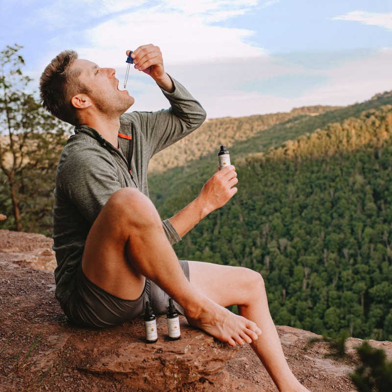 Forager's Kingdom Lion's Mane Extract Mushroom Extract