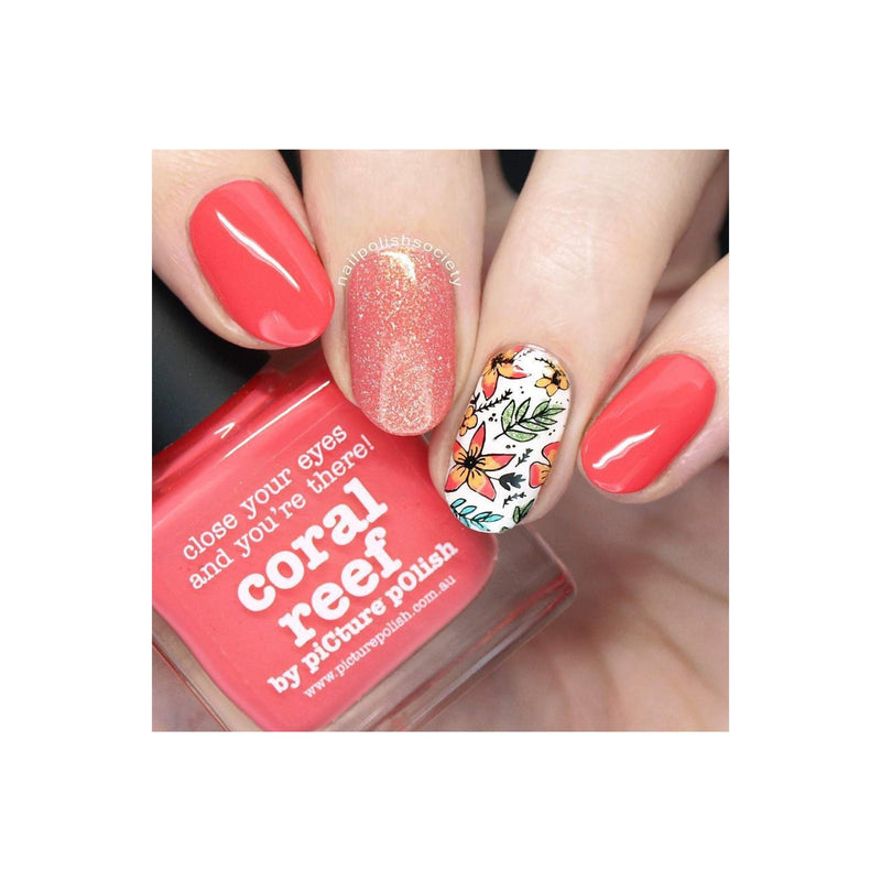 UberChic Beauty Collection 24 Stamping Plate