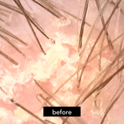 Curls & Potions Chebula & Green Tea Scalp Revival Follicle Stimulating Scrub HAIR conditioner