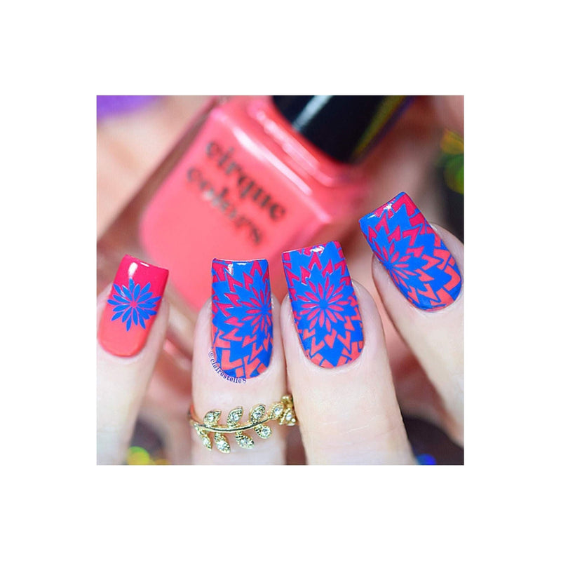 UberChic Beauty Collection 25 Stamping Plate