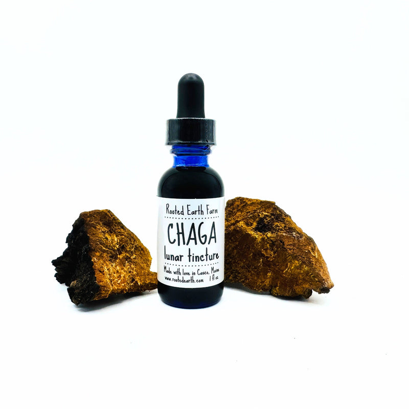 Rooted Earth Farm + Apothecary Maine Chaga Tincture Tinctures + Capsules