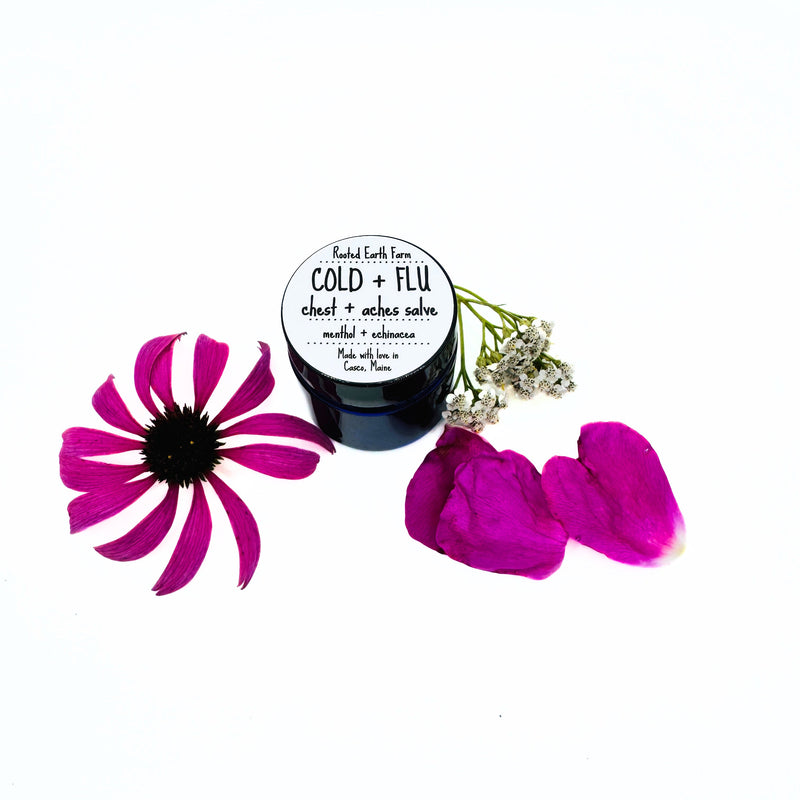 Rooted Earth Farm + Apothecary Cold + Flu Salve Herbal Salves + Balms