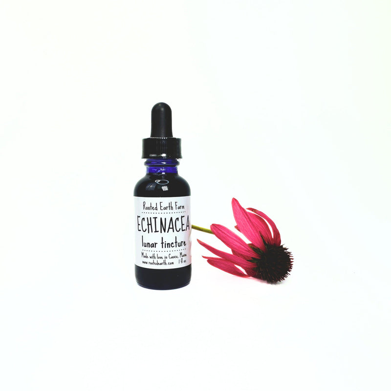 Rooted Earth Farm + Apothecary Echinacea Tincture Tinctures + Capsules