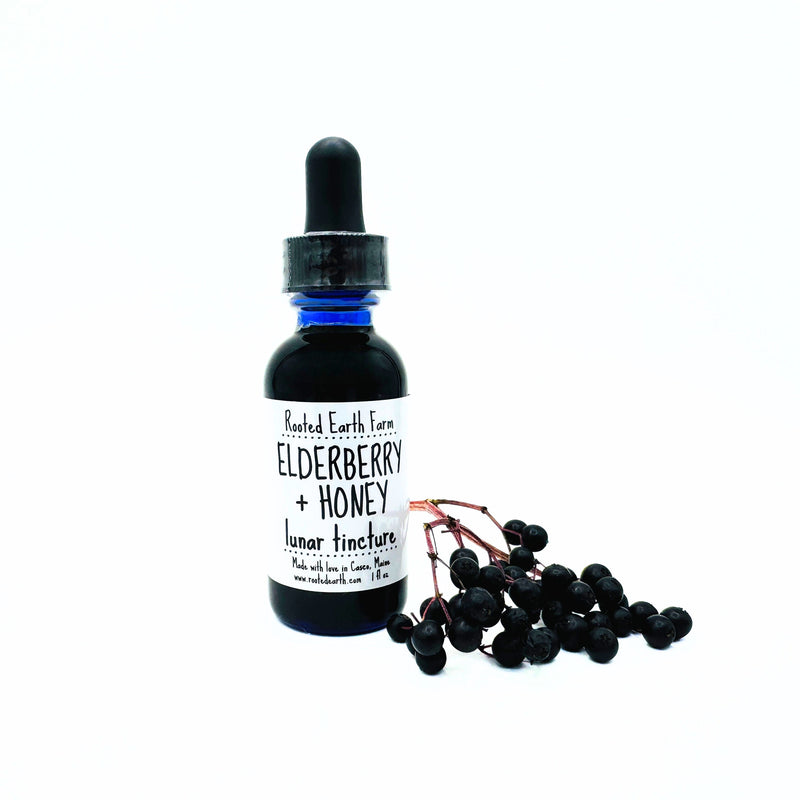Rooted Earth Farm + Apothecary Elderberry + Honey Tincture Tinctures + Capsules